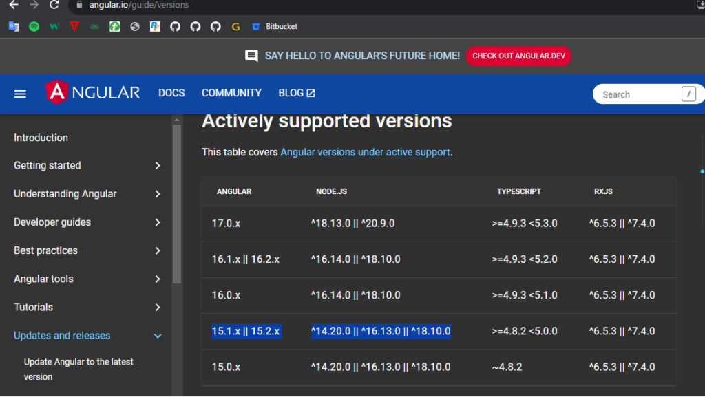 Angular error 3 How to Solve Runtime Error in Angular with Node Version