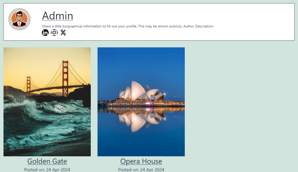 Author bio section with social media icon
