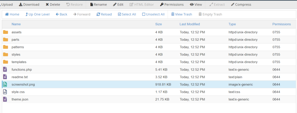 Child theme folder in cPanel