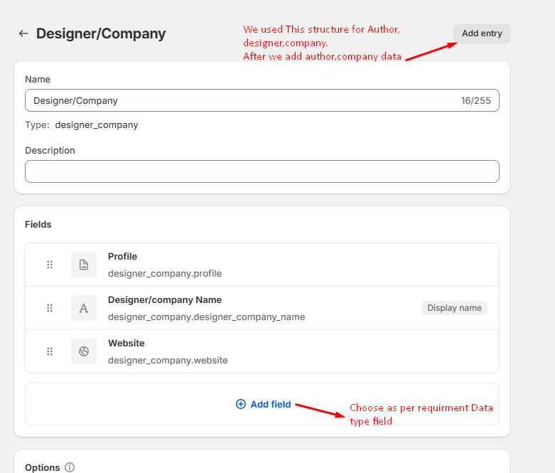 Shopify metaobject details